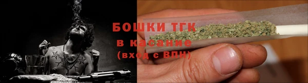 гашик Аркадак