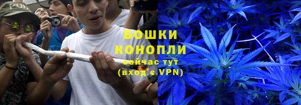 гашик Аркадак