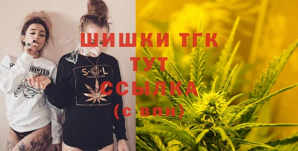 дмт Алексин