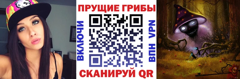 ссылка на мегу рабочий сайт купить наркотики цена Заозёрный Псилоцибиновые грибы MAGIC MUSHROOMS